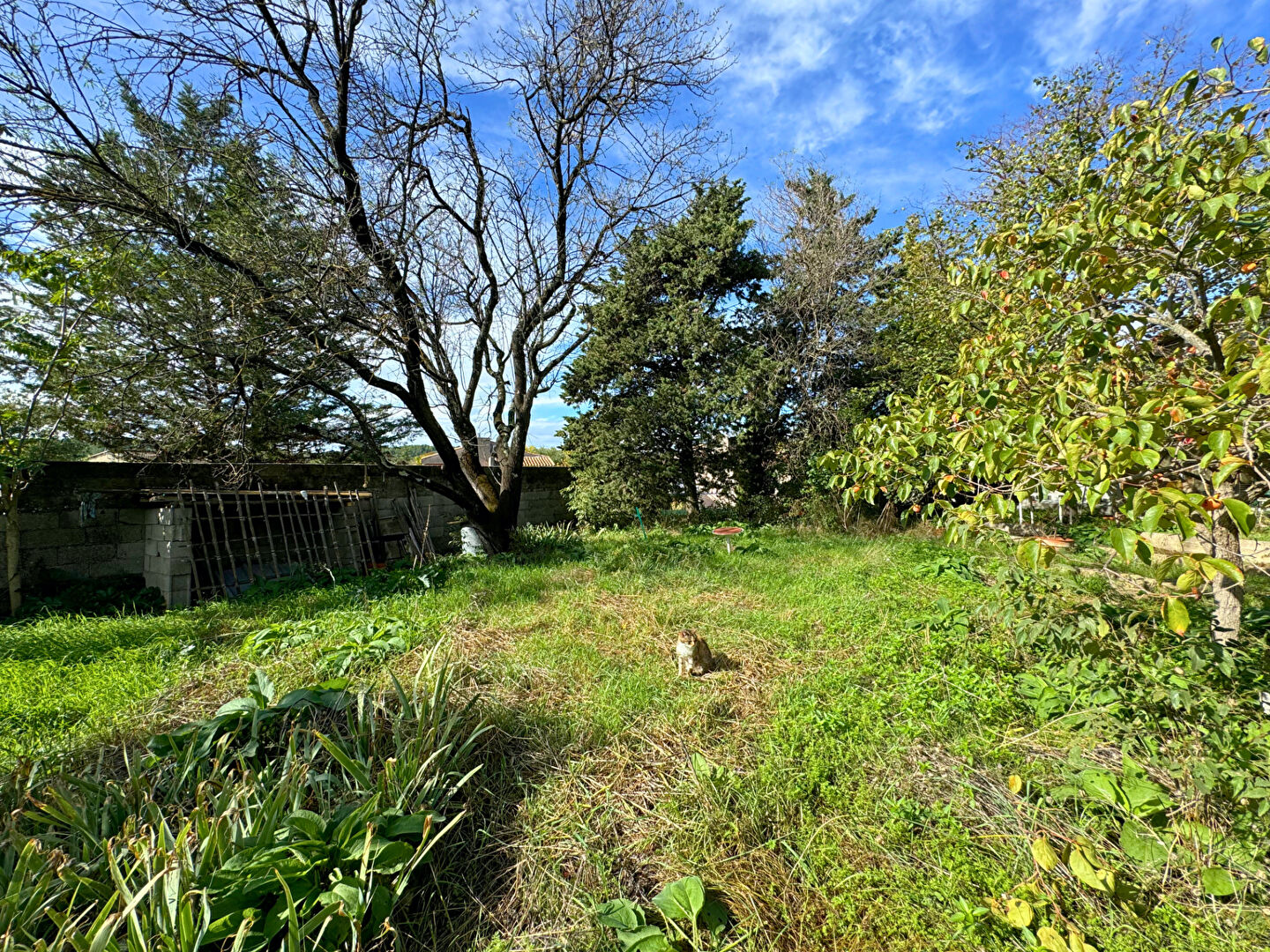 Terrain GRABELS (34790) 600.00 m²