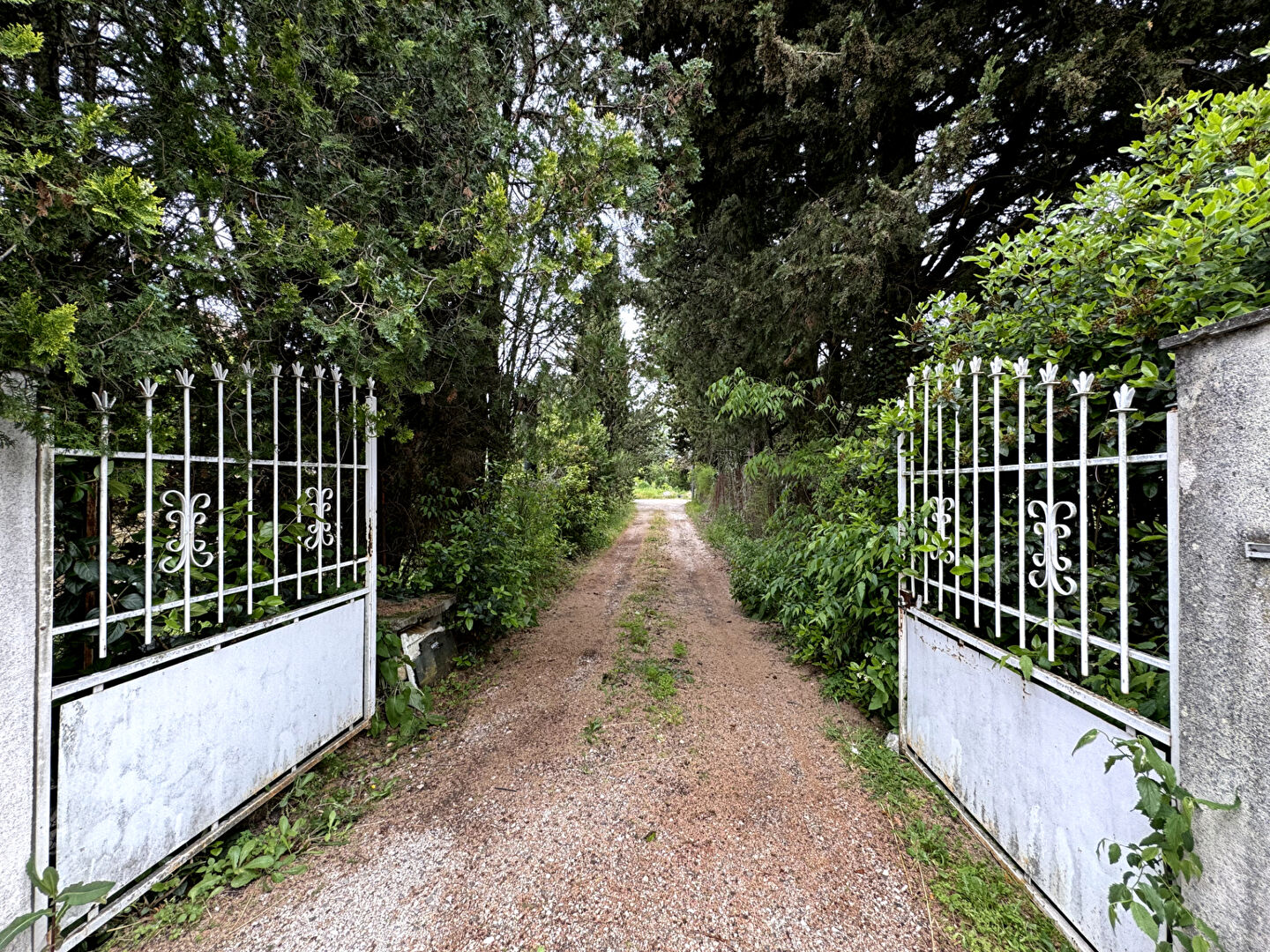 Terrain GRABELS (34790) 600.00 m²