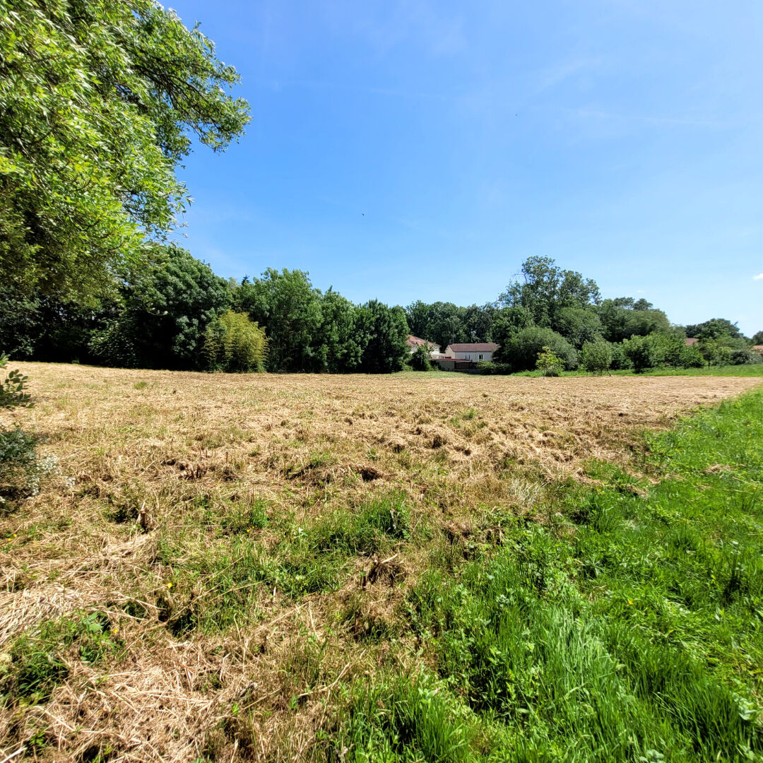 Terrain LE CHAMP SAINT PERE (85540) 2294.00 m²