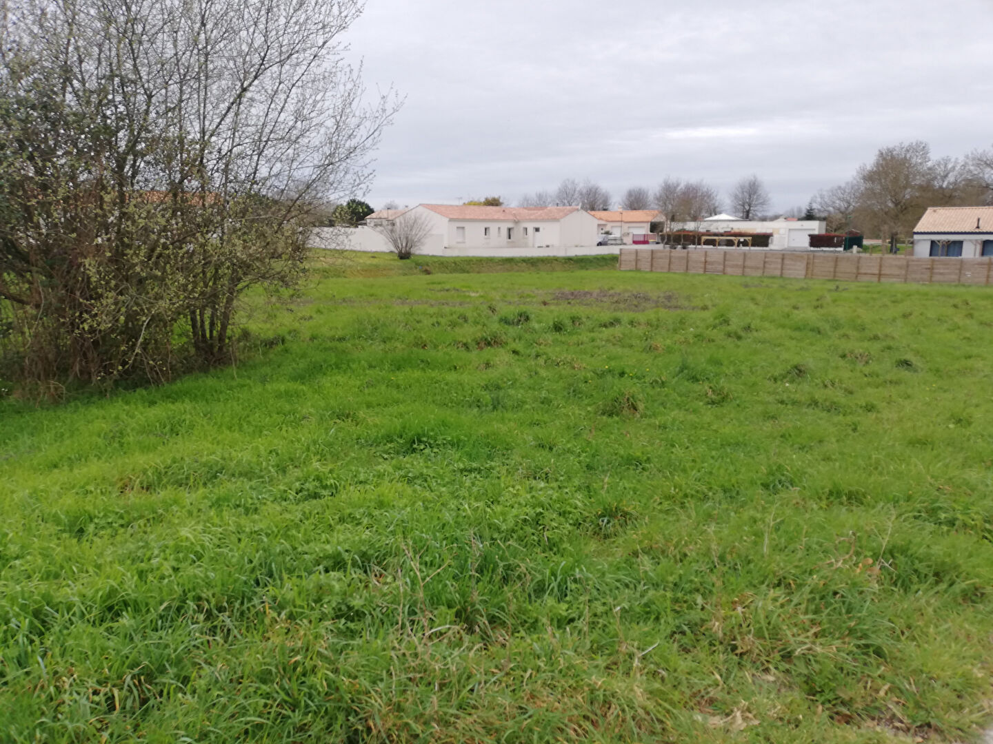 Terrain Le Champ Saint Père (85540) 759.00 m²