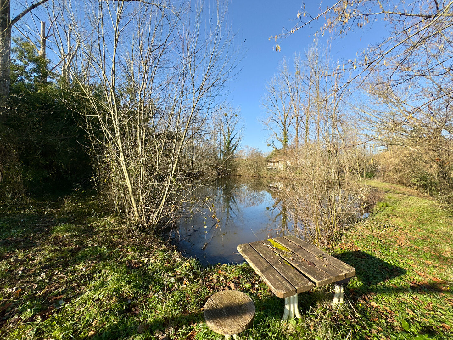 Terrain le champ saint père (85540) 6000.00 m²