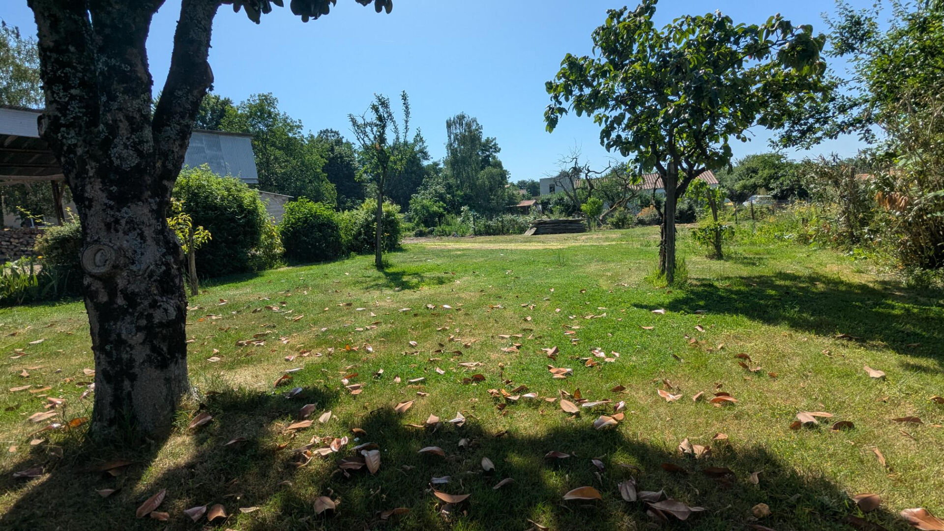 Terrain LA ROCHE SUR YON (85000) 1450.00 m&sup2;