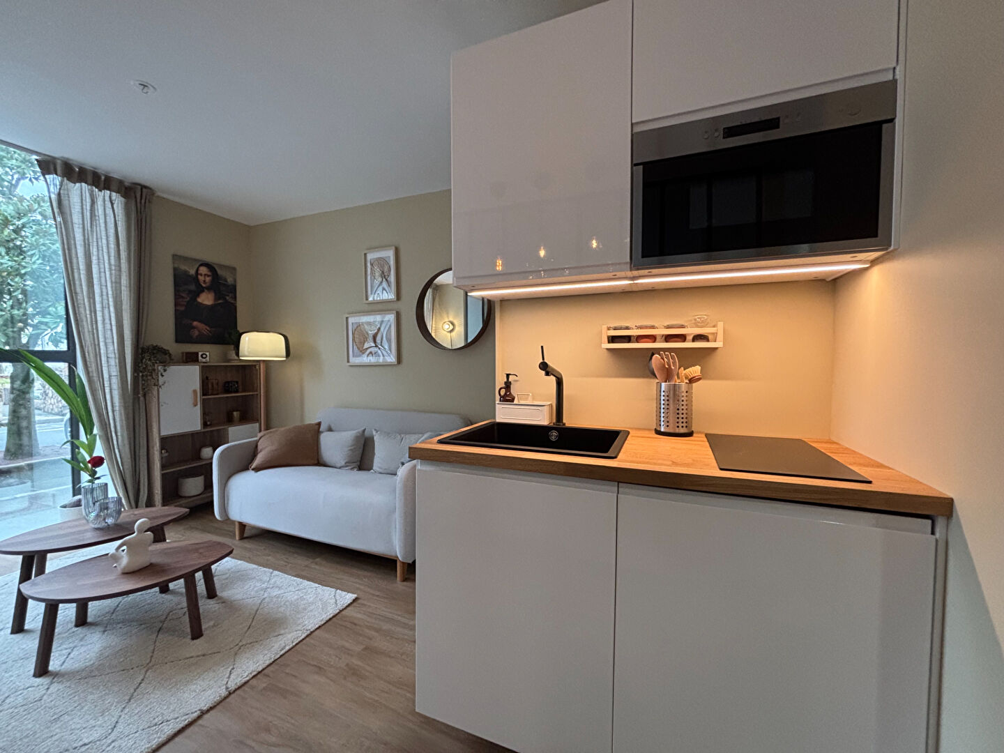 Appartement LA ROCHE SUR YON (85000) 1 pièce 19.62 m²