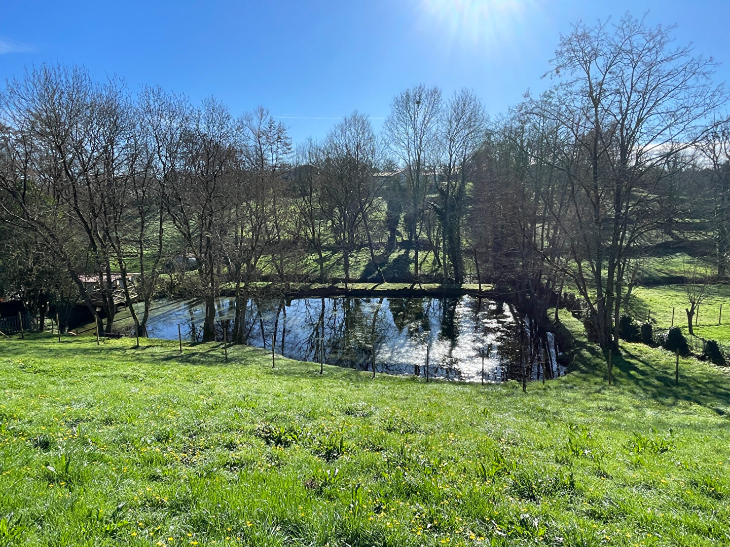 Terrain THORIGNY (85480) 1000.00 m&sup2;