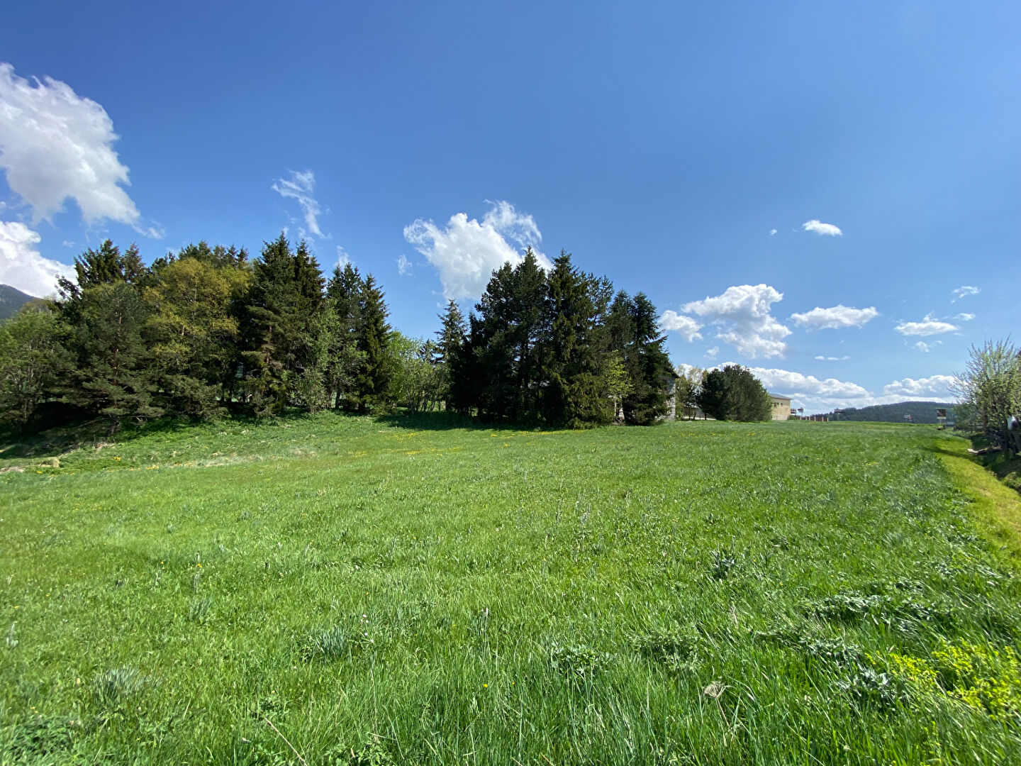 Terrain PUYVALADOR (66210) 3680.00 m²