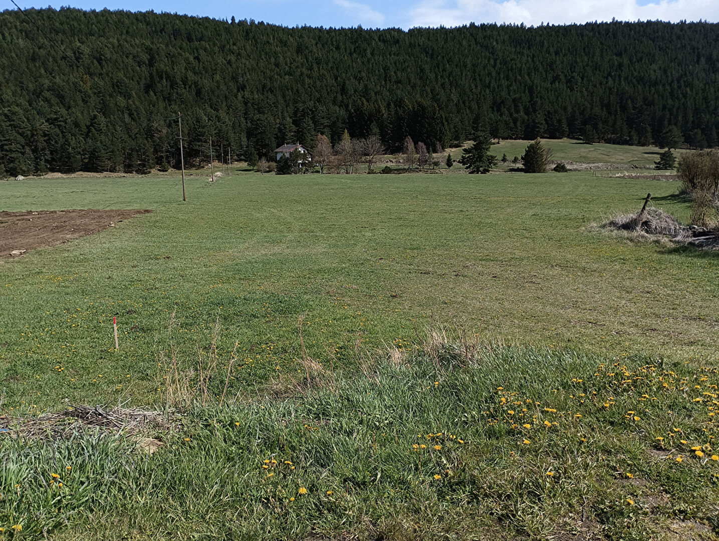 Terrain FONTRABIOUSE (66210) 673.00 m²