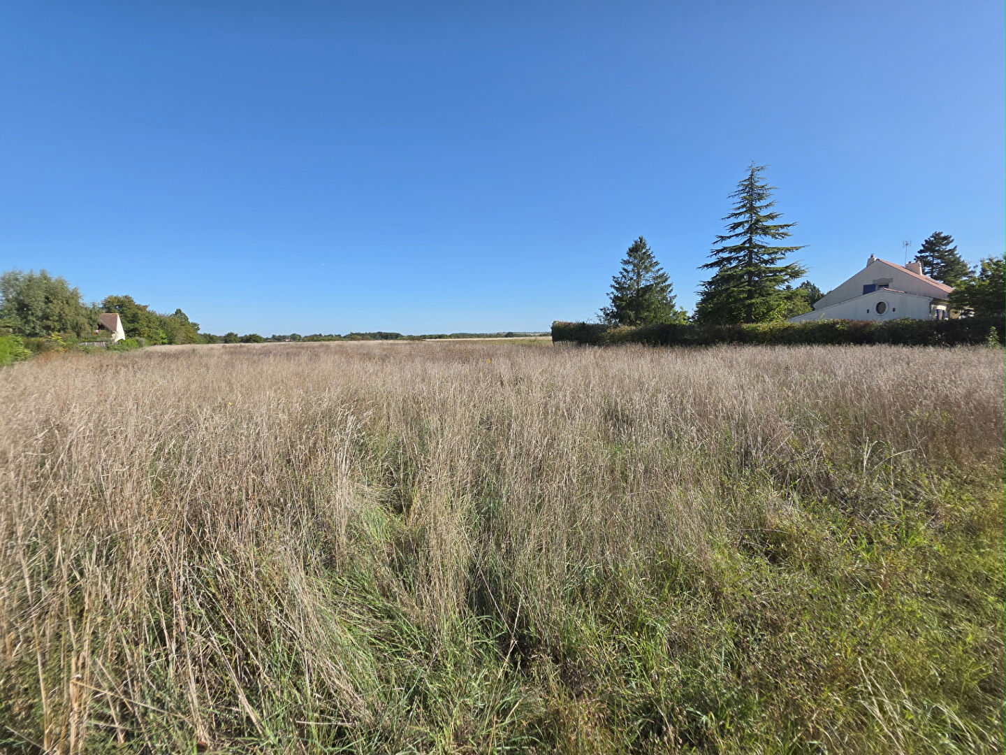 Terrain ARMENTIERES EN BRIE (77440) 1000.00 m²