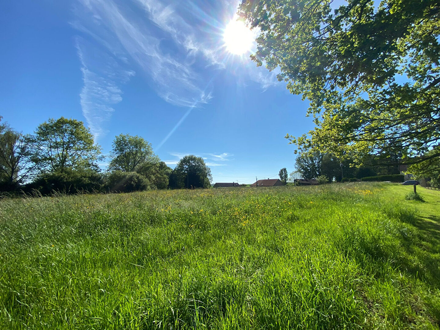 Terrain JOISELLE (51310) 1900.00 m²