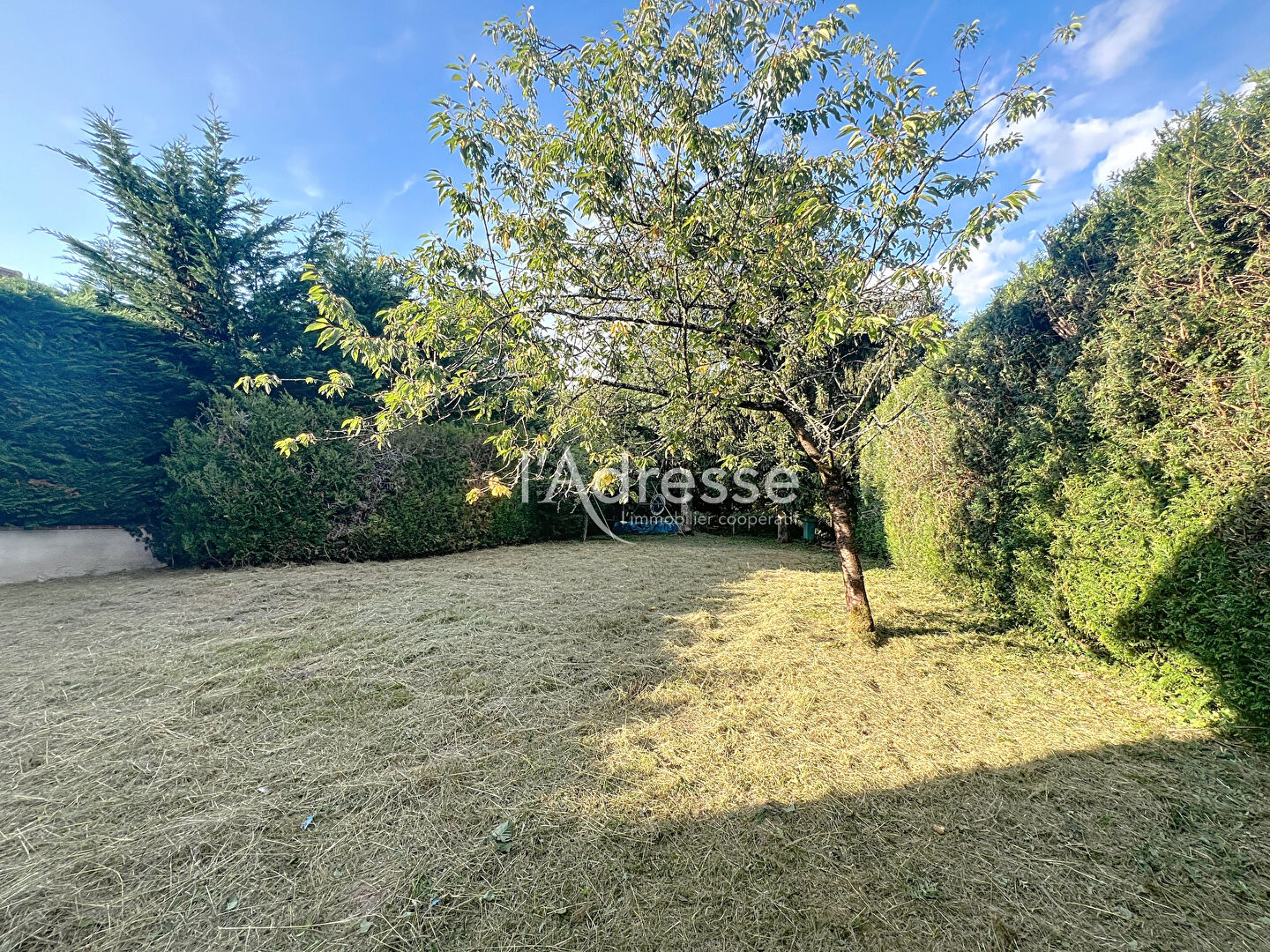 Maison DAMMARTIN EN GOELE (77230) 7 pièces 131.00 m²