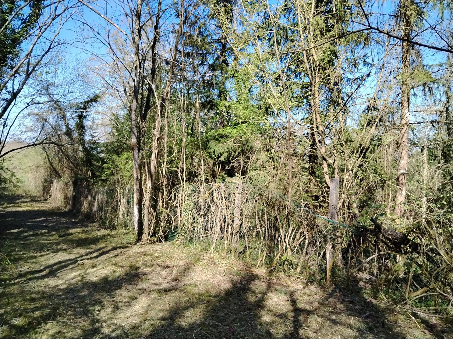 Terrain TRILPORT (77470) 1964.00 m²