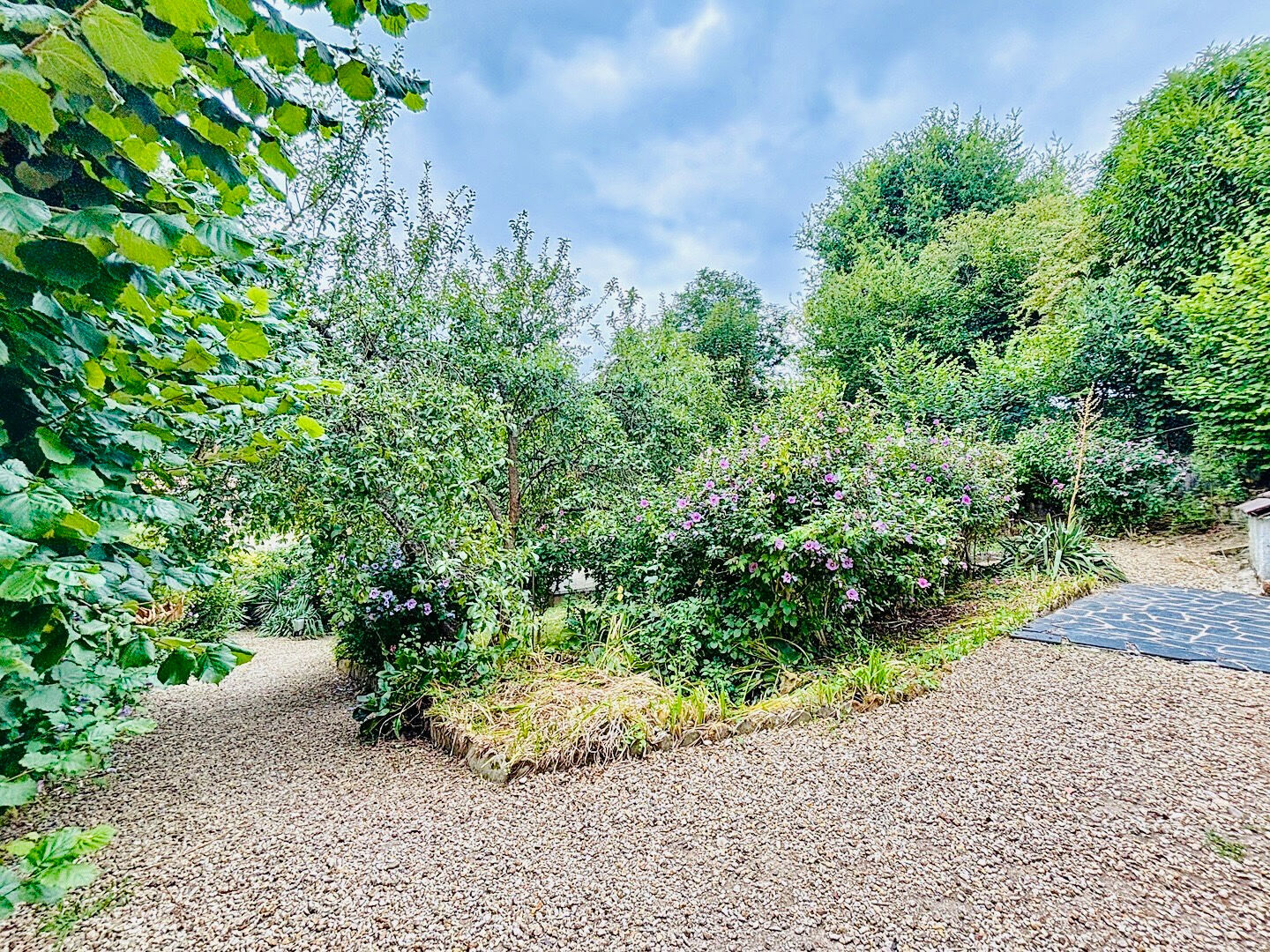 Terrain CREGY LES MEAUX (77124) 235.00 m²