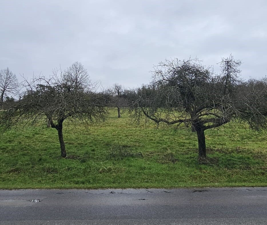 Terrain SAINT CYR SUR MORIN (77750) 800.00 m&sup2;