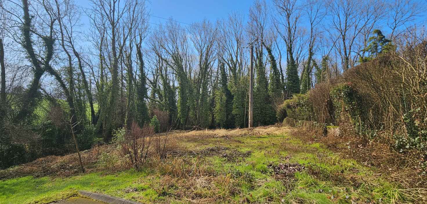 Terrain VILLEMAREUIL (77470) 557.00 m&sup2;