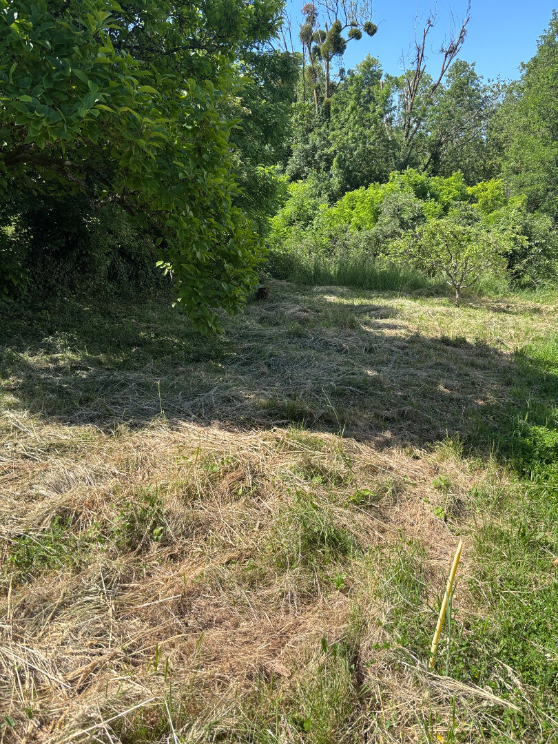 Terrain MONTHYON (77122) 320.00 m&sup2;
