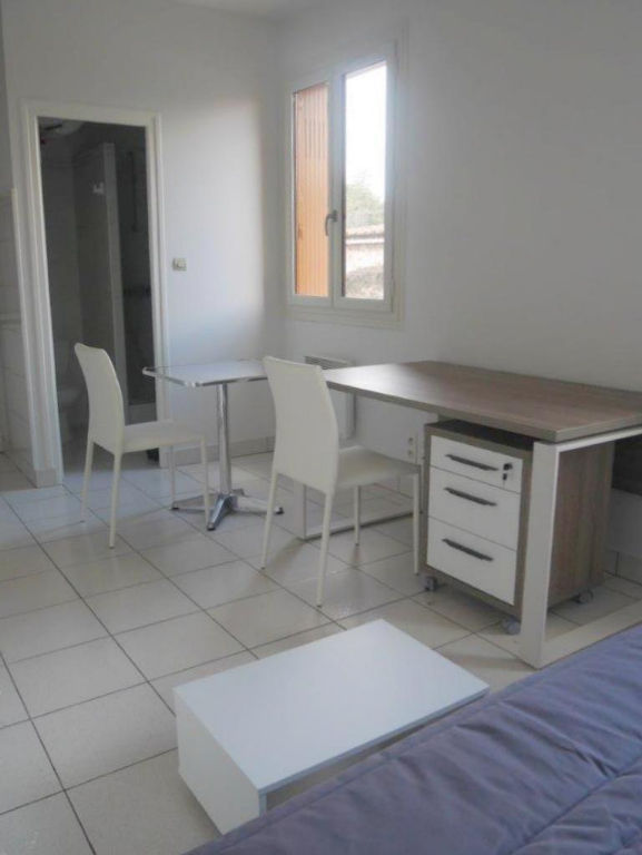 Appartement RAMONVILLE SAINT AGNE (31520) 1 pièce 19.00 m²