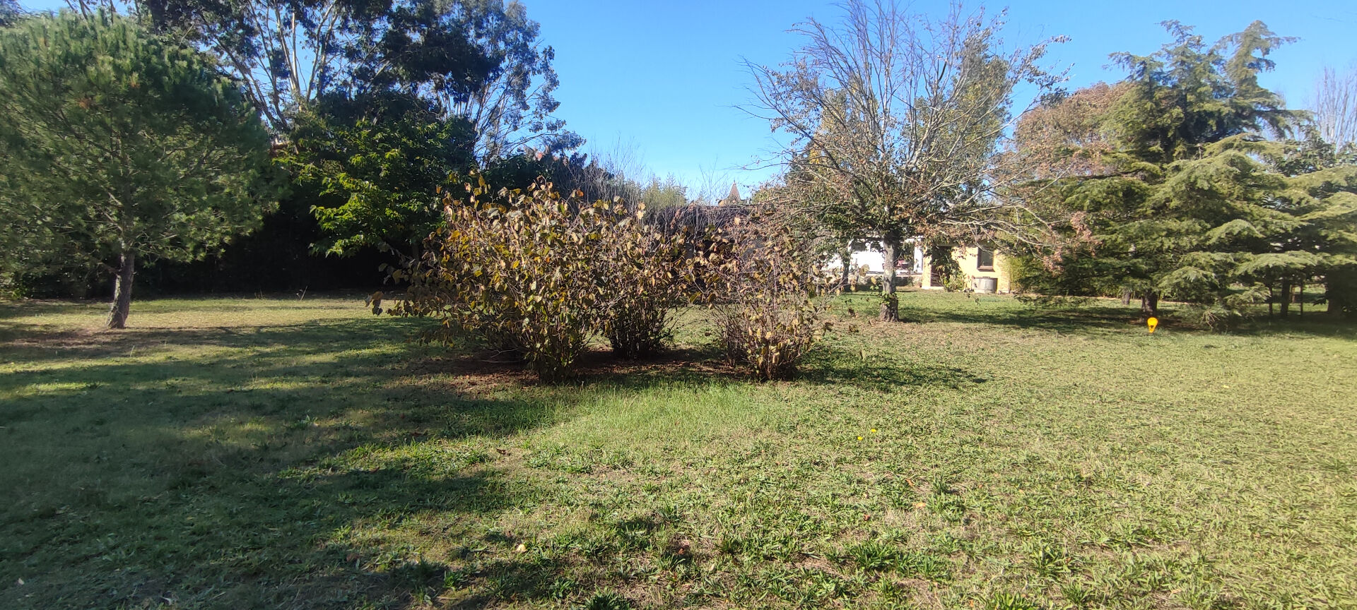 Terrain PLAISANCE DU TOUCH (31830) 650.00 m&sup2;