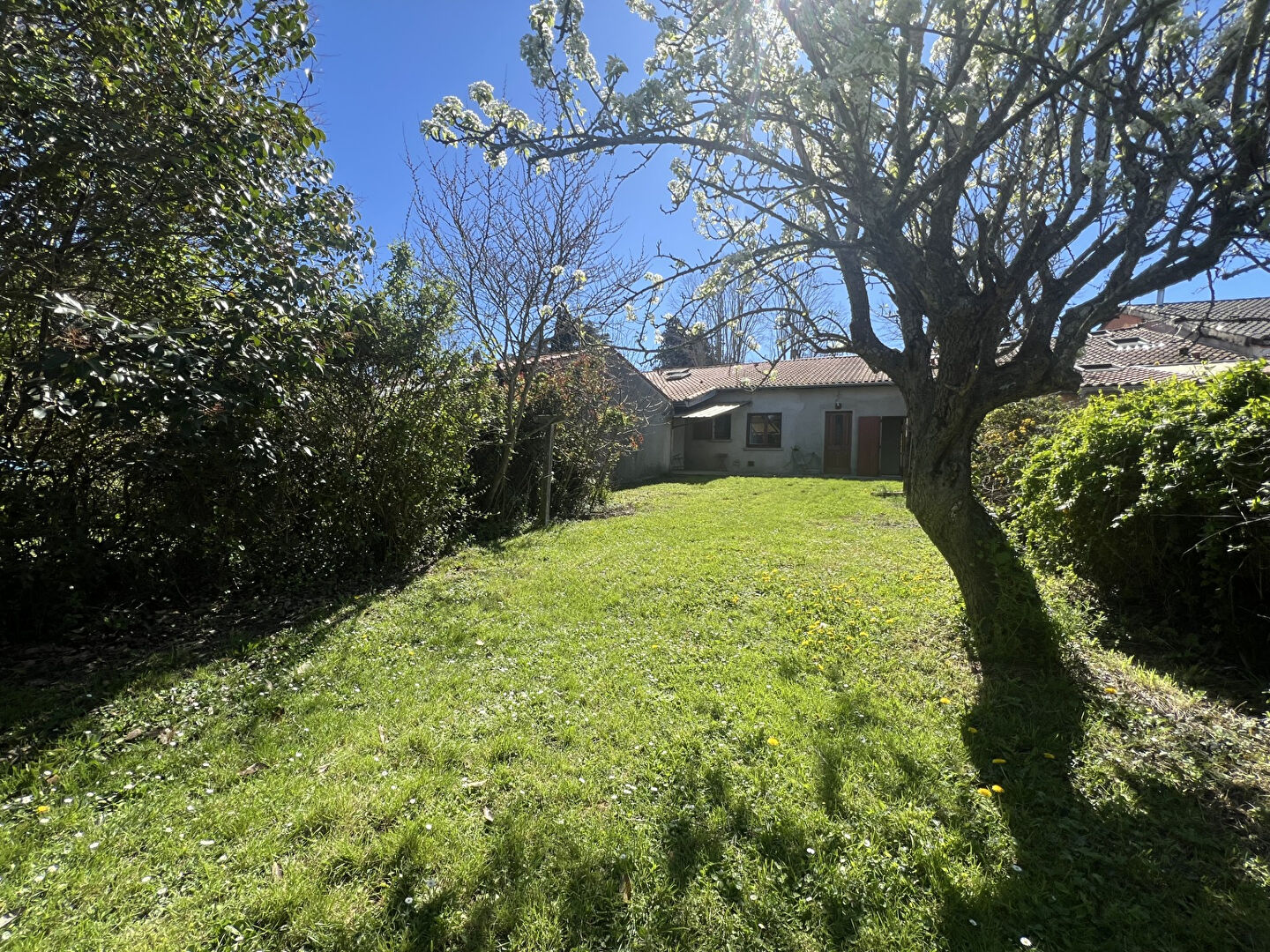 Maison CASTANET TOLOSAN (31320) 4 pi&egrave;ces 120.00 m&sup2;