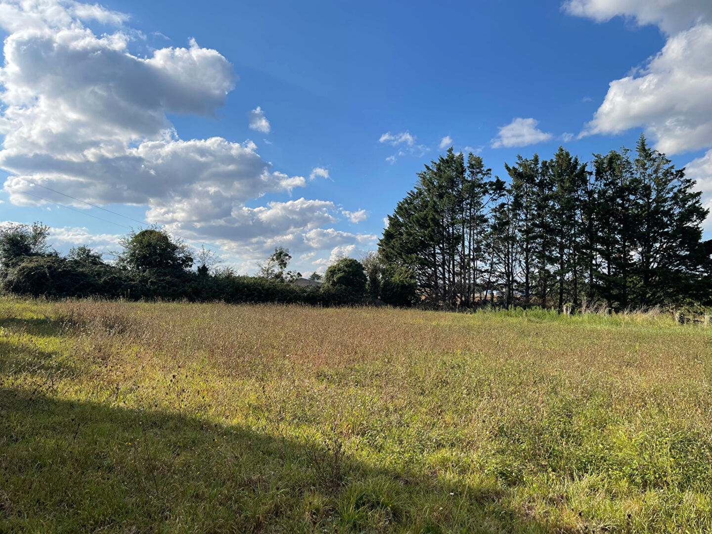 Terrain PISSOTTE (85200) 1979.00 m&sup2;