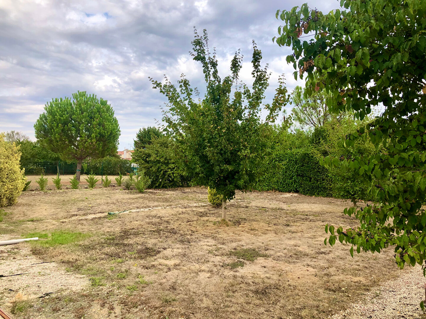 Terrain FONTENAY LE COMTE (85200) 420.00 m&sup2;