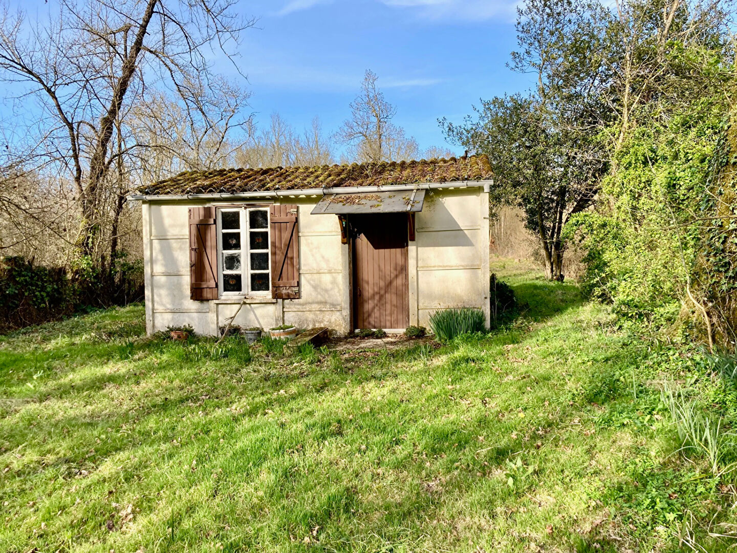Terrain de loisirs ANDILLY (17230) 1 pièce 16.00 m²
