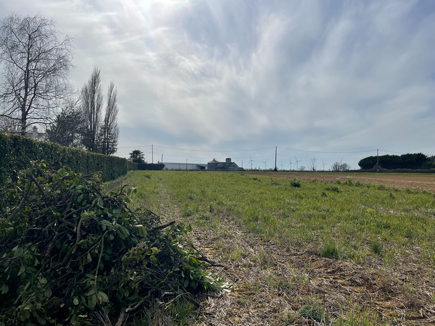 Terrain LONGEVES (85200) 1956.00 m²