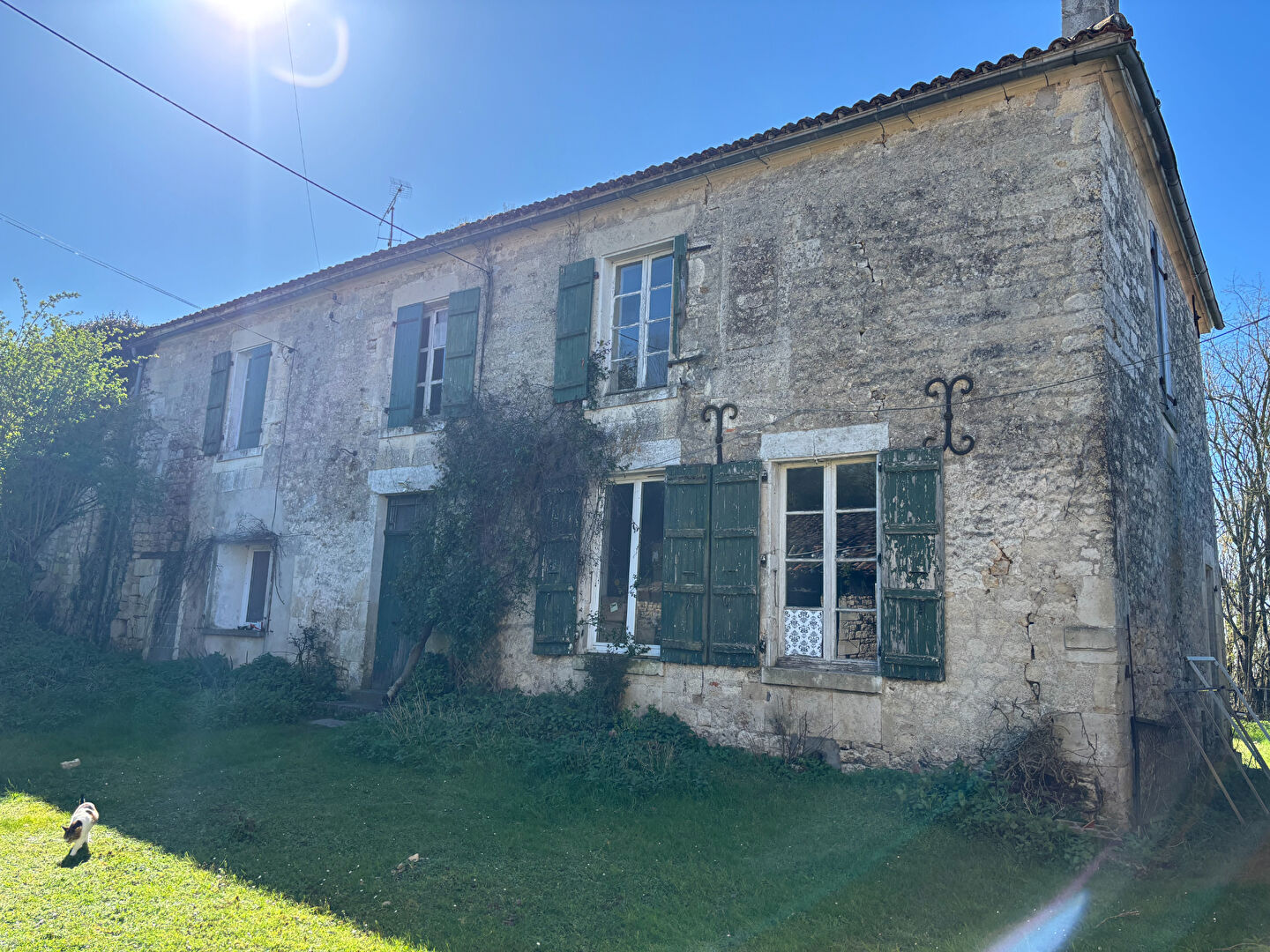 Maison FONTENAY LE COMTE (85200) 10 pièces 220.00 m²