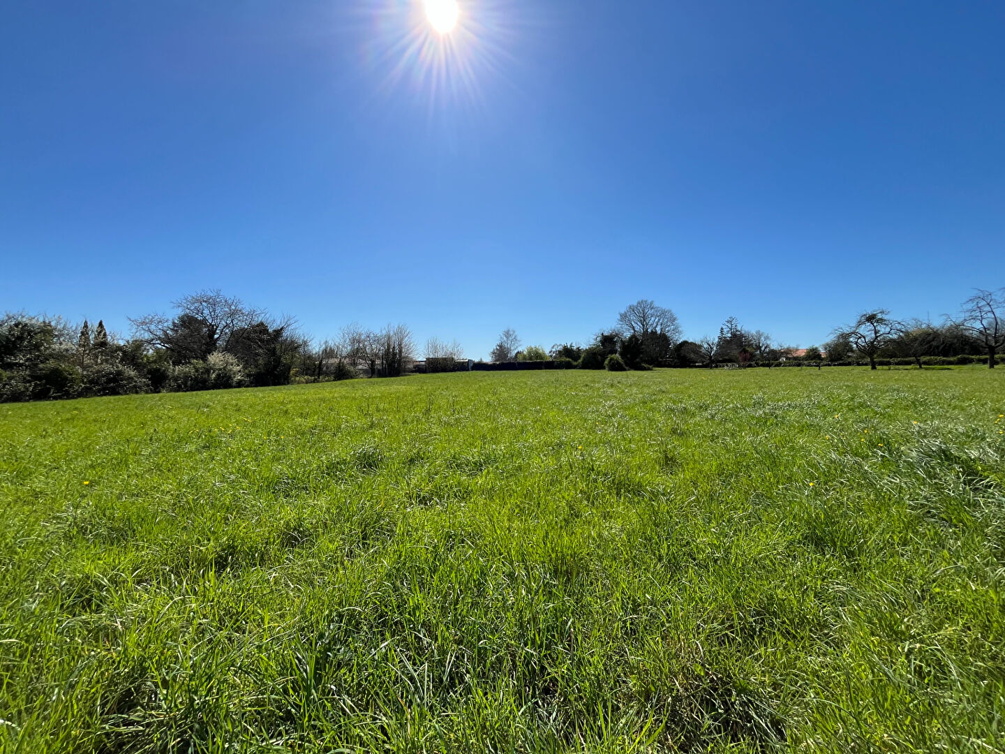 Terrain PETOSSE (85570) 4511.00 m&sup2;