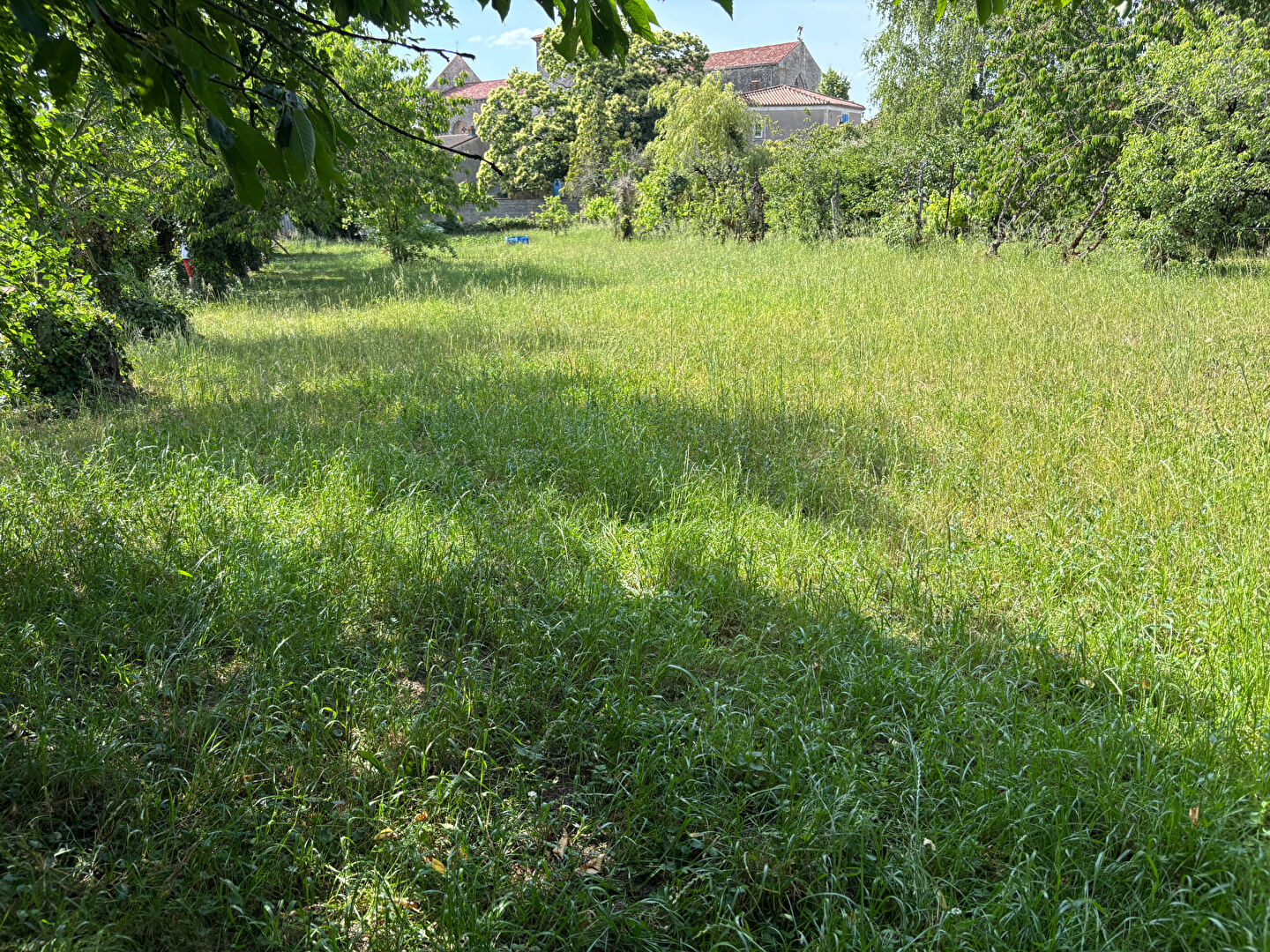 Terrain Saint Michel Le Cloucq (85200) 1200.00 m&sup2;