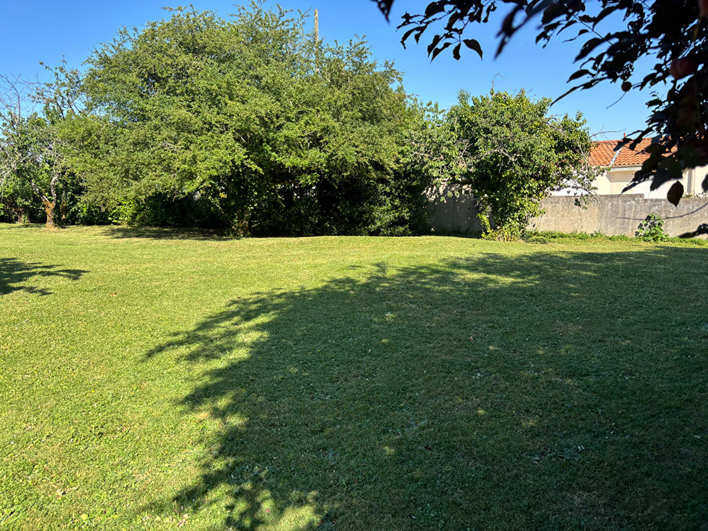 Terrain FONTENAY LE COMTE (85200) 608.00 m&sup2;
