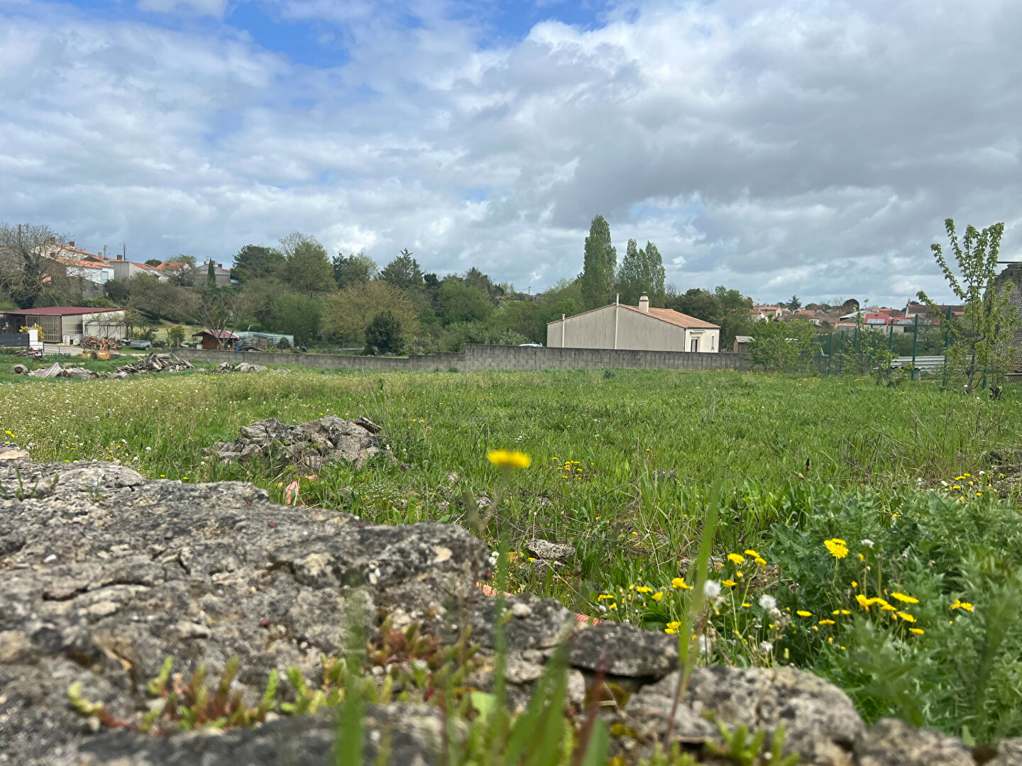 Terrain MOUZEUIL saint MARTIN (85370) 1379.00 m²