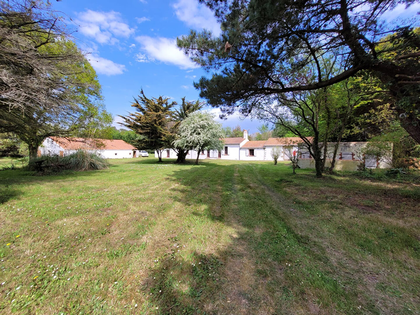 Maison SALLERTAINE (85300) 5 pièces 135.45 m²