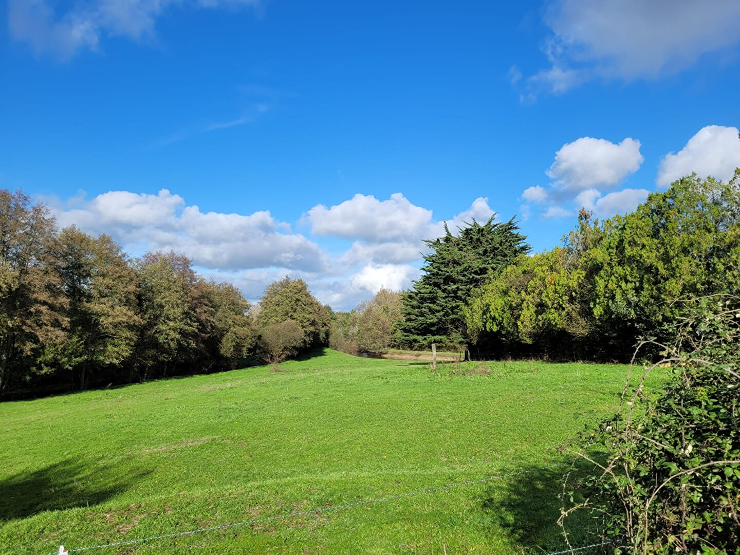 Terrain FROIDFOND (85300)