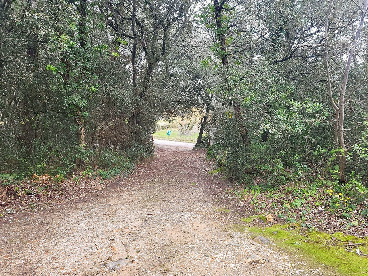 Terrain NOTRE DAME DE MONTS (85690) 2200.00 m²
