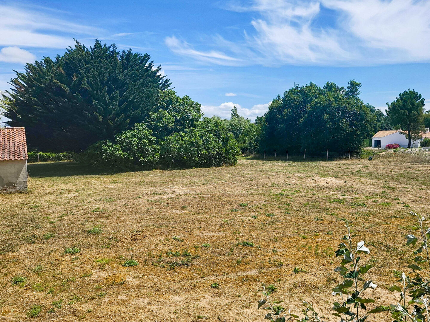 Terrain NOTRE DAME DE MONTS (85690) 915.00 m²