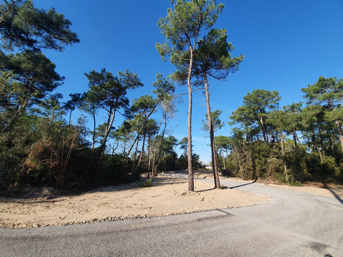 Terrain SAINT JEAN DE MONTS (85160) 575.00 m&sup2;