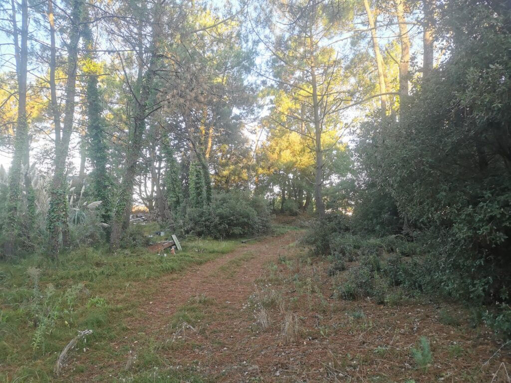 Terrain SAINT JEAN DE MONTS (85160) 553.00 m&sup2;