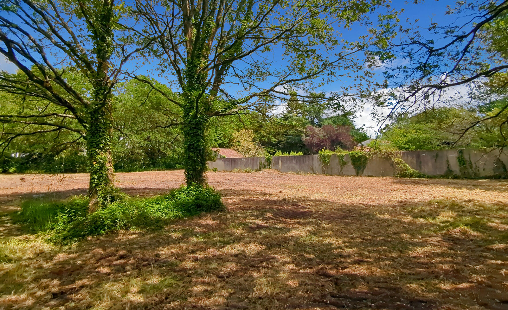 Terrain LA GARNACHE (85710) 2009.00 m²