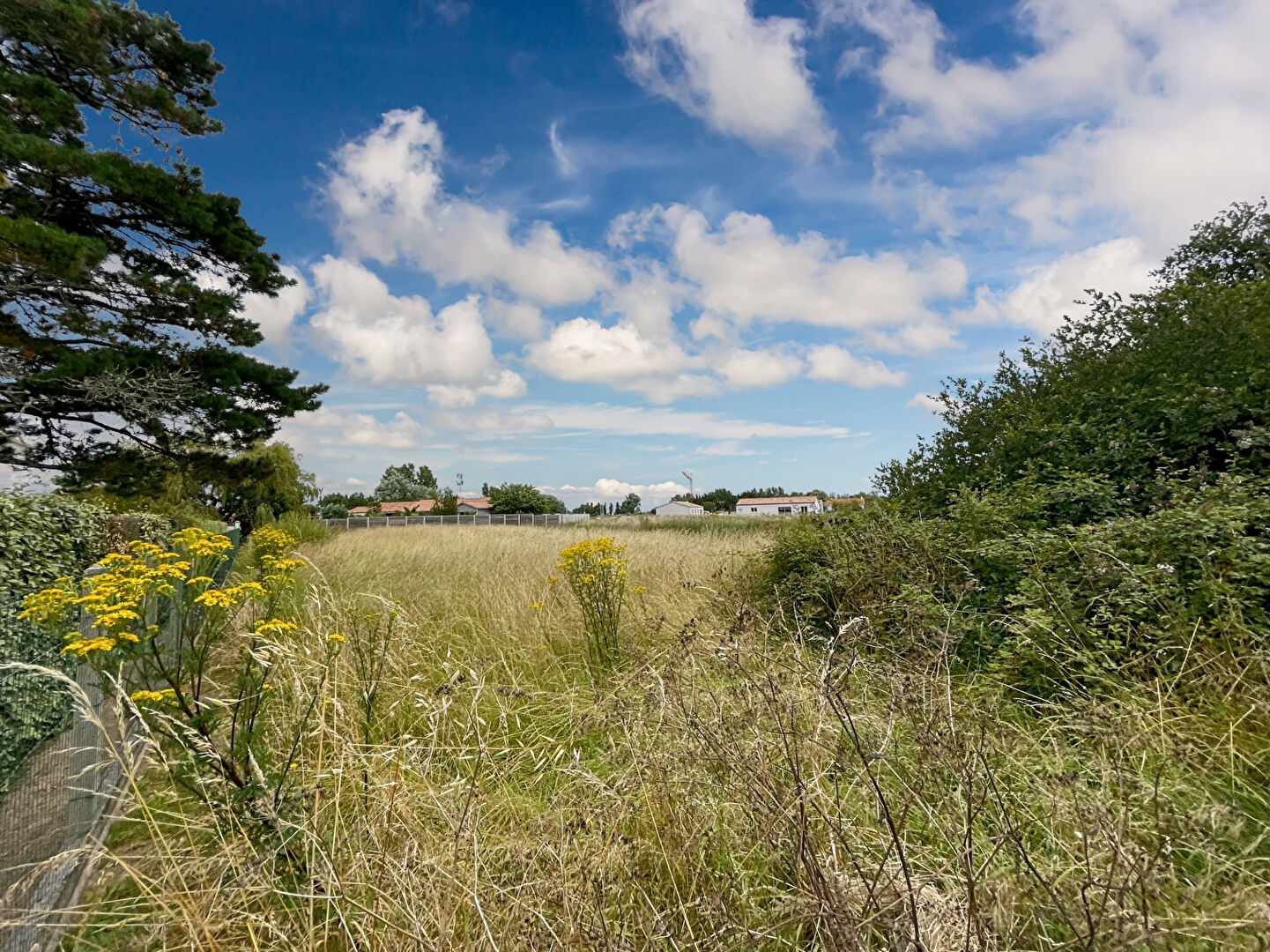 Terrain SAINT JEAN DE MONTS (85160) 1629.00 m²