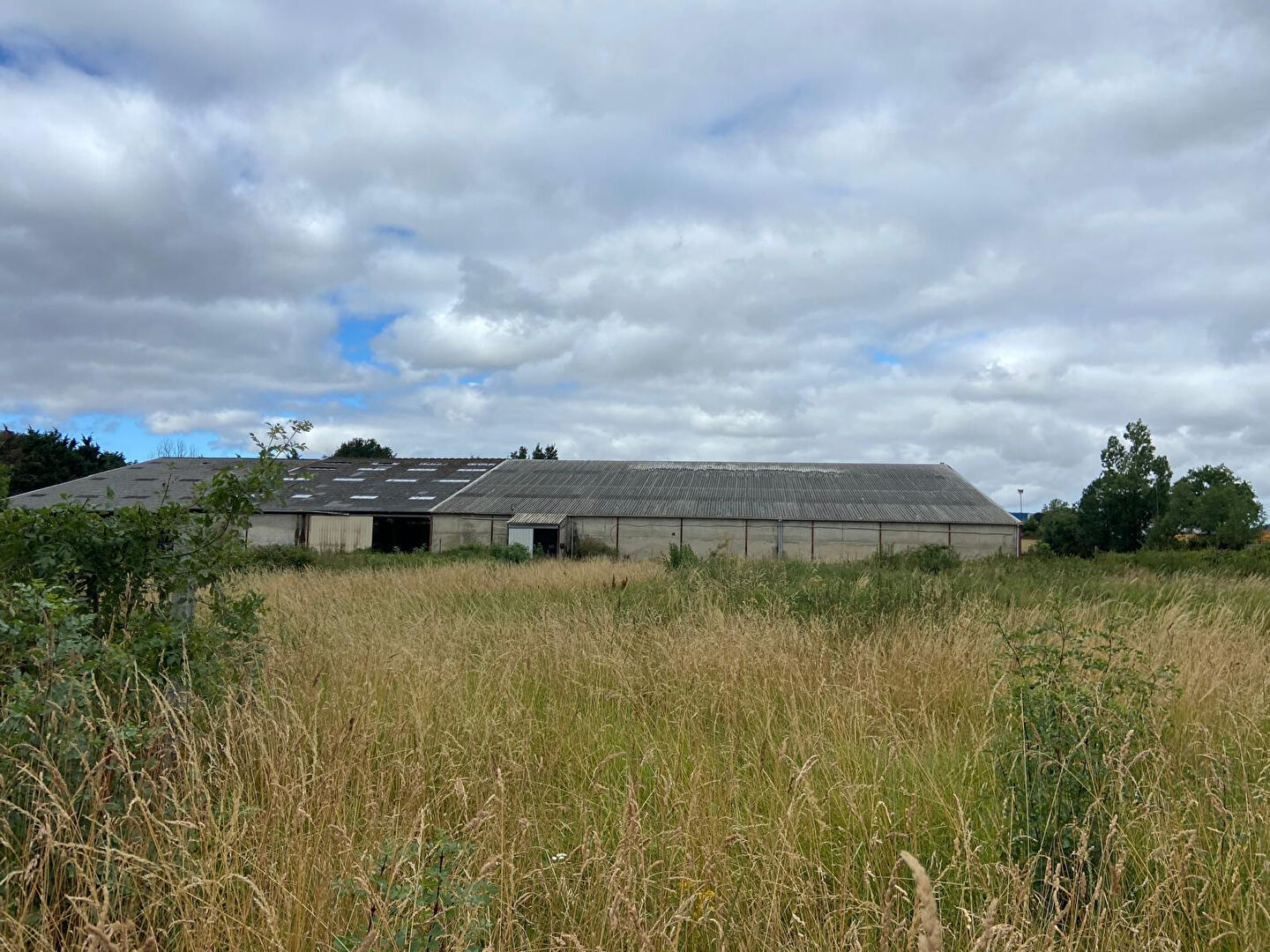 Terrain CHALLANS (85300) 1719.00 m&sup2;