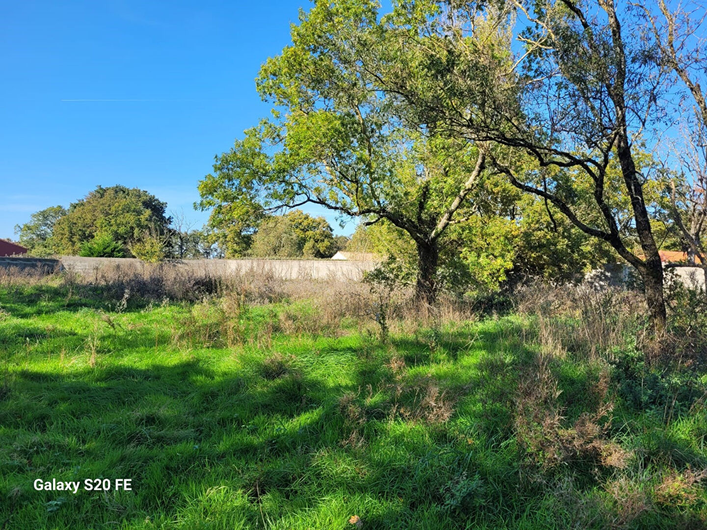 Terrain LA GARNACHE (85710) 1253.00 m²