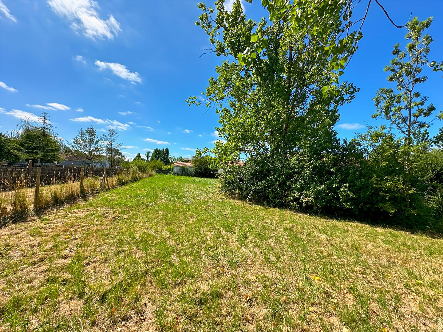Terrain LE PERRIER (85300) 769.00 m²