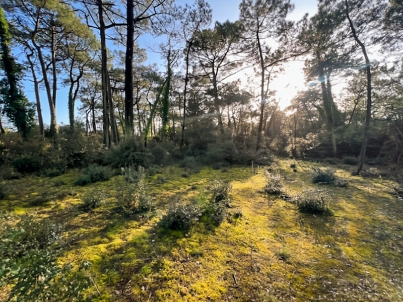 Terrain SAINT JEAN DE MONTS (85160) 4808.00 m&sup2;