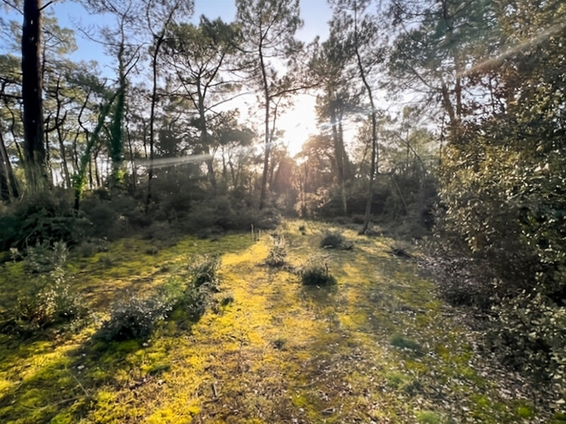 Terrain SAINT JEAN DE MONTS (85160) 5117.00 m&sup2;