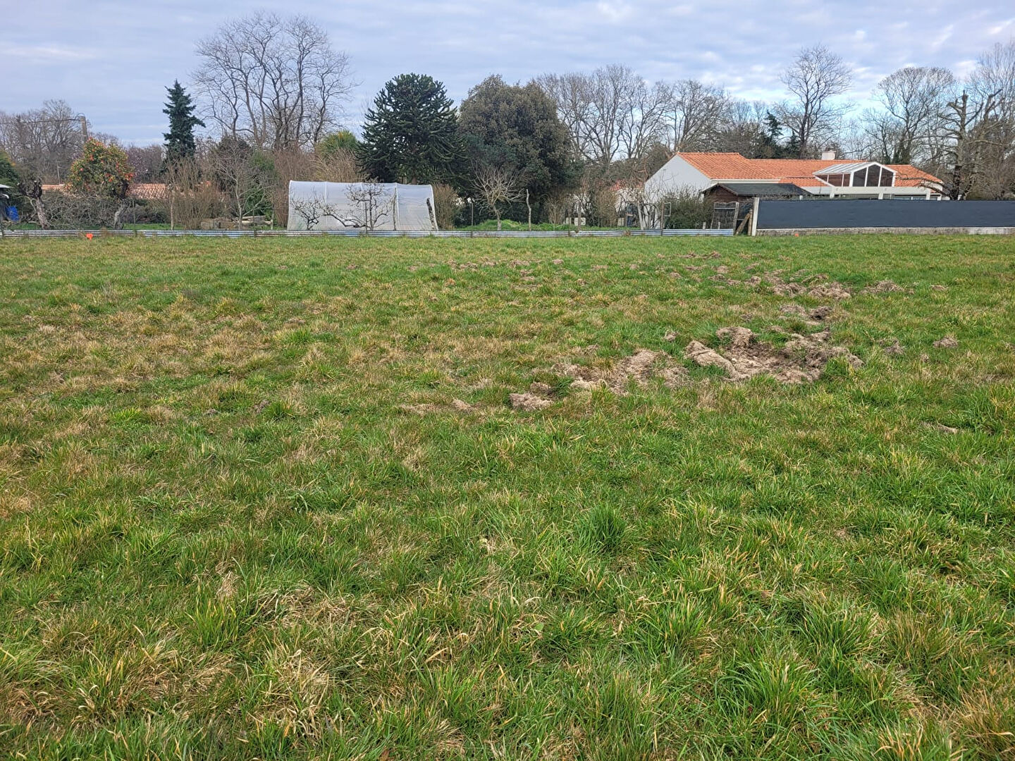 Terrain CHALLANS (85300) 954.00 m²