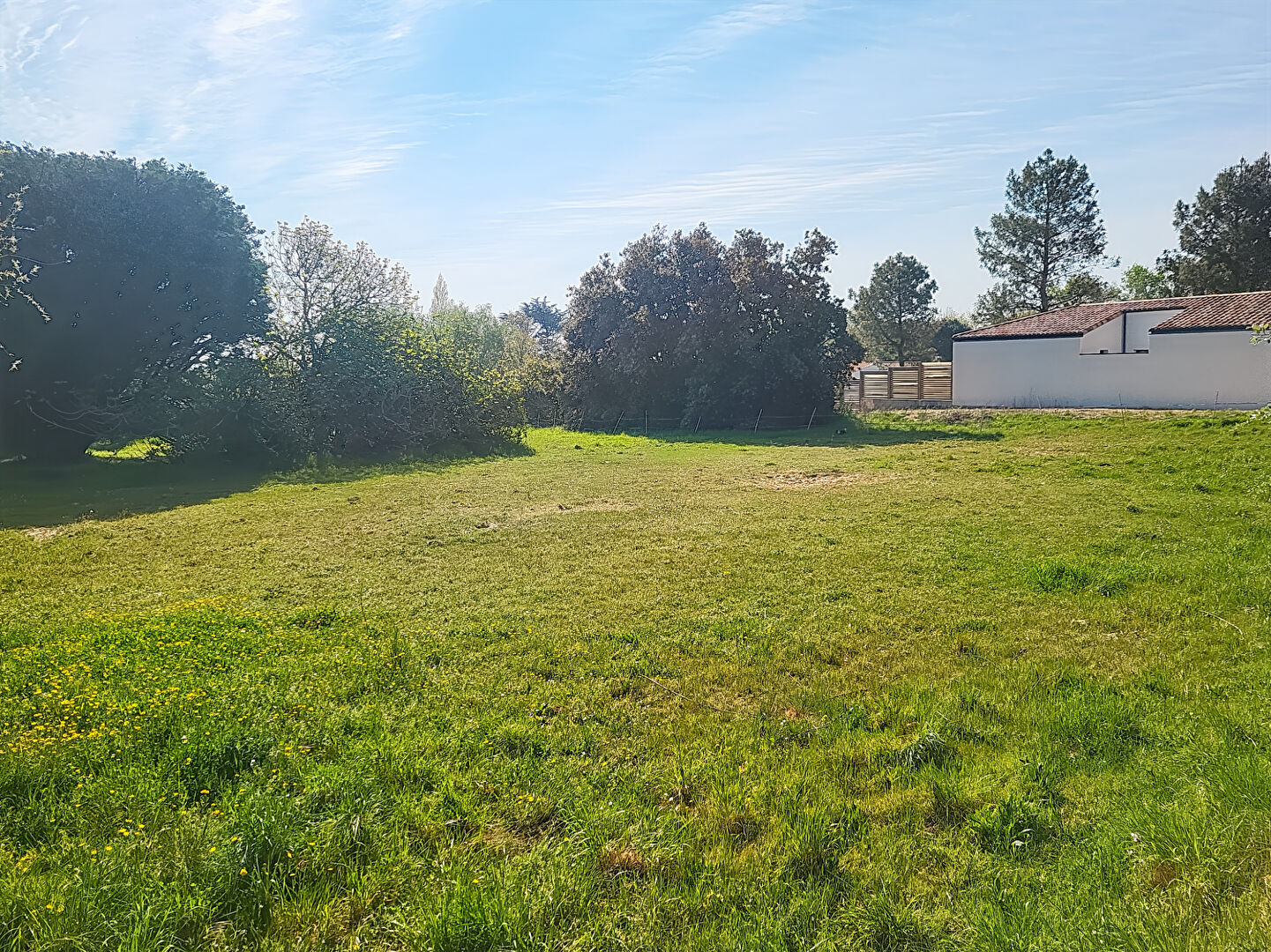 Terrain NOTRE DAME DE MONTS (85690) 772.00 m²