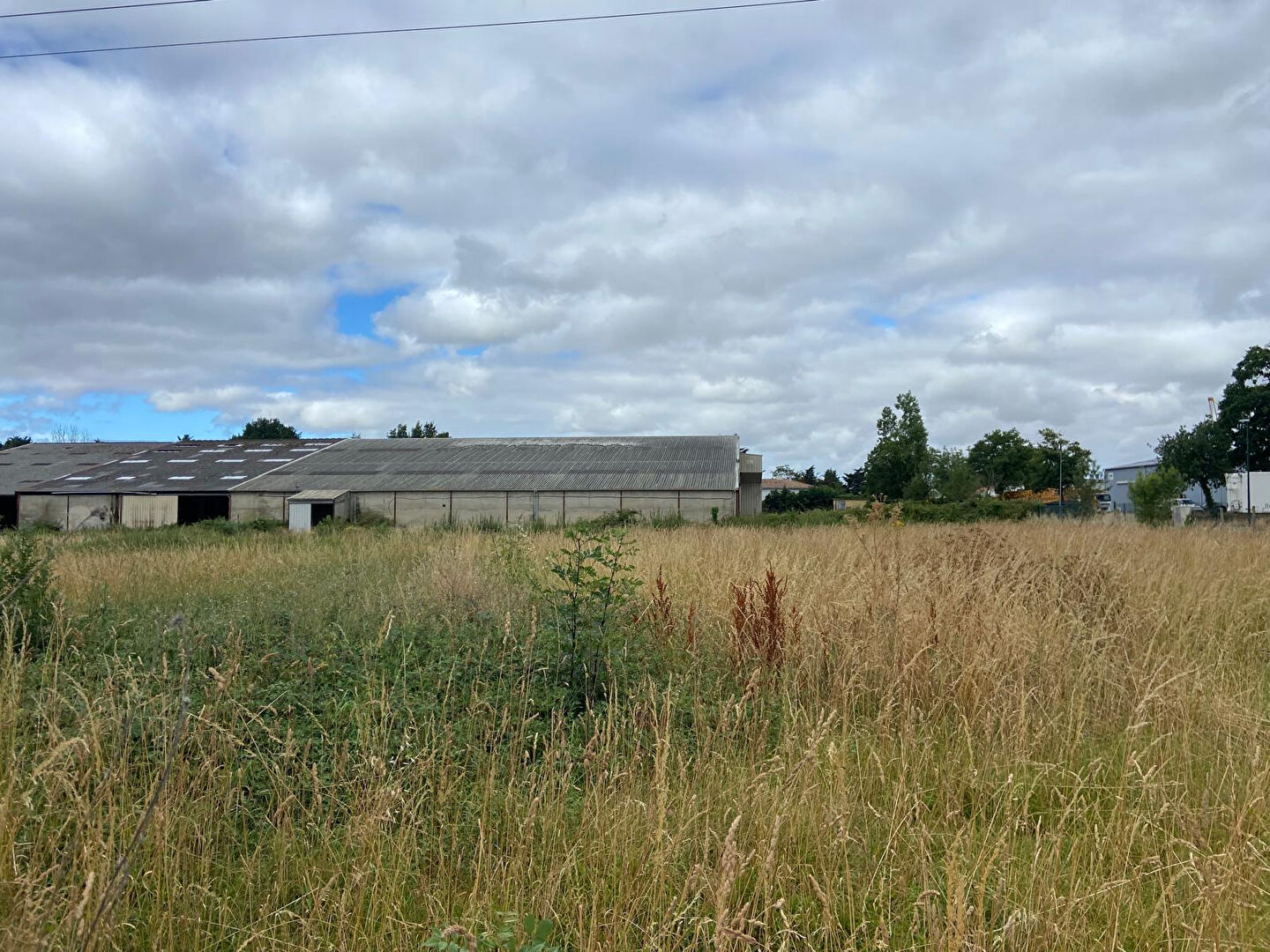 Terrain CHALLANS (85300) 2520.00 m²