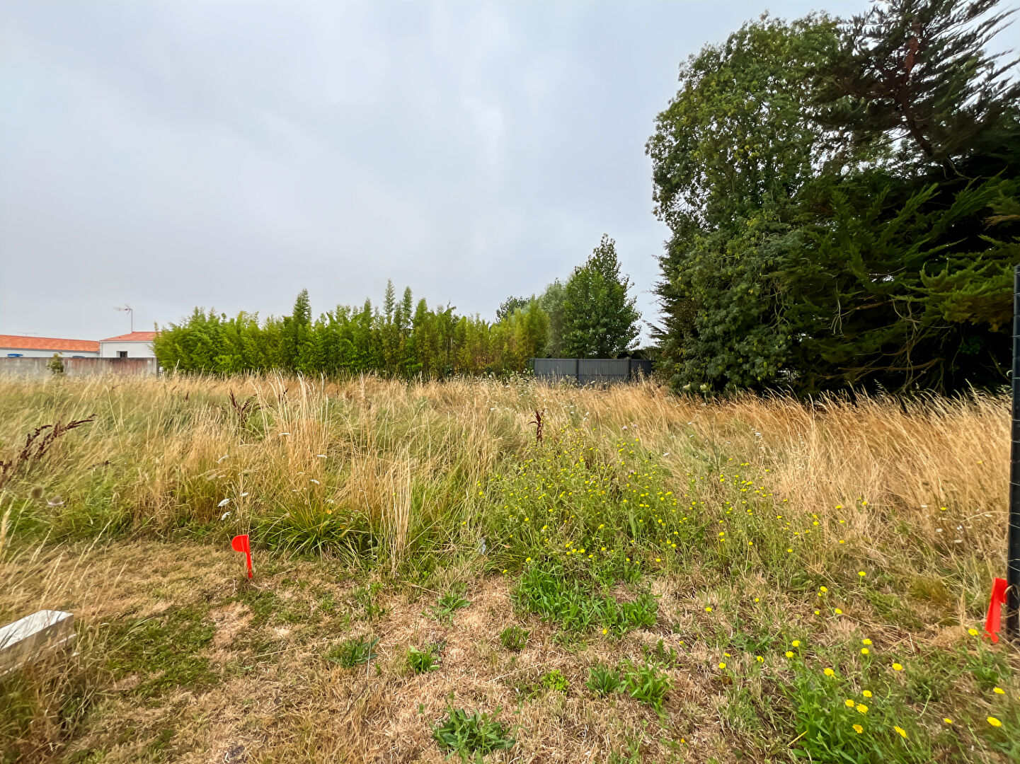 Terrain LA BARRE DE MONTS (85550) 770.00 m²