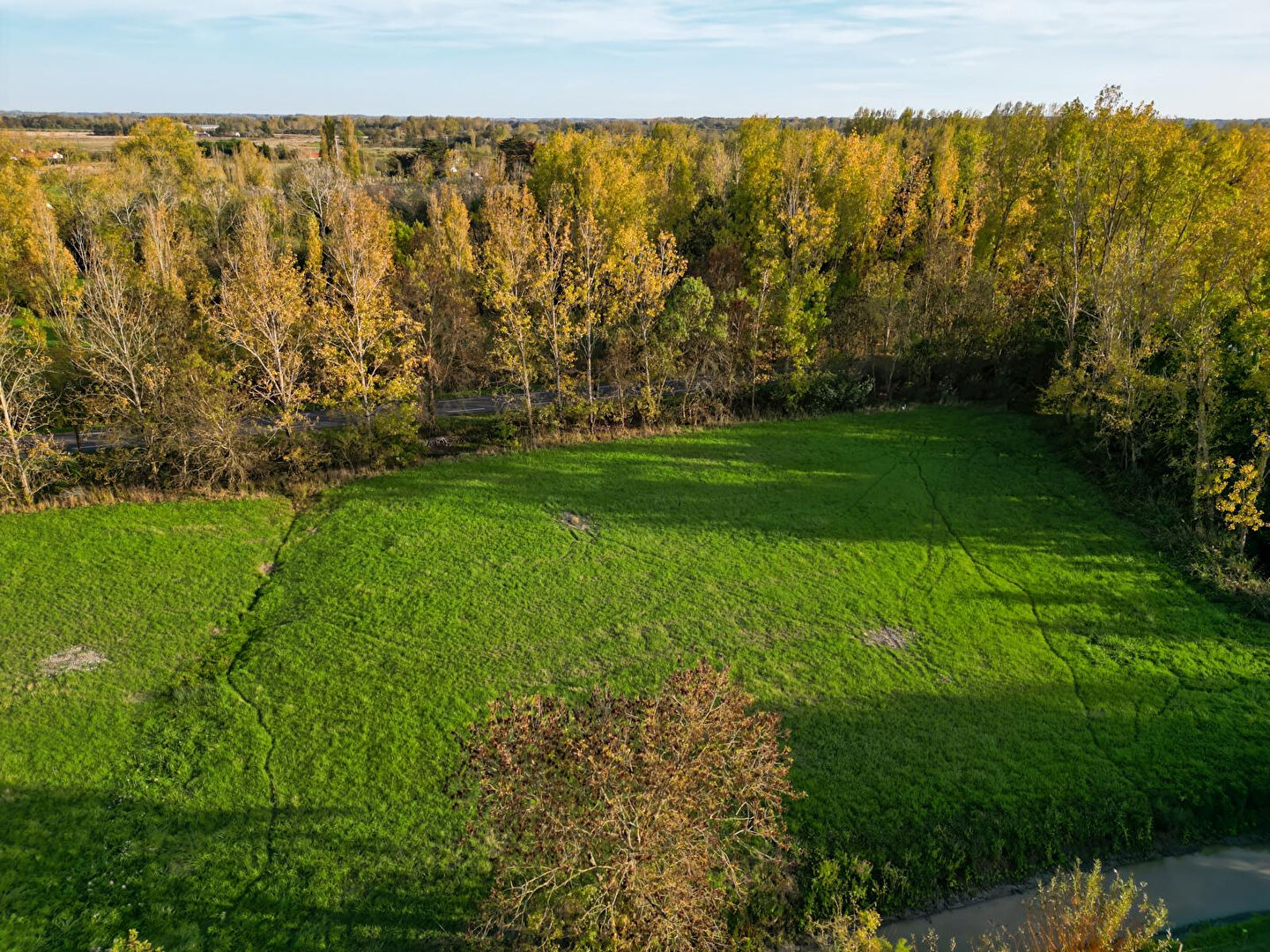 Terrain LE PERRIER (85300) 1248.00 m²