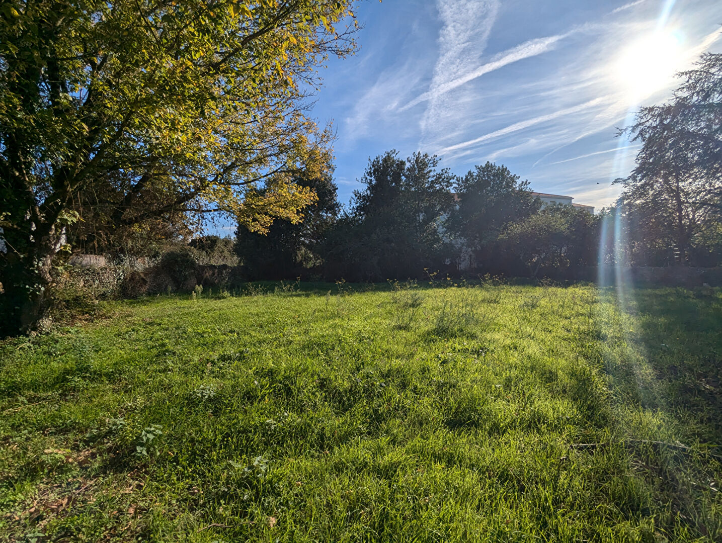 Terrain CHALLANS (85300) 882.00 m²