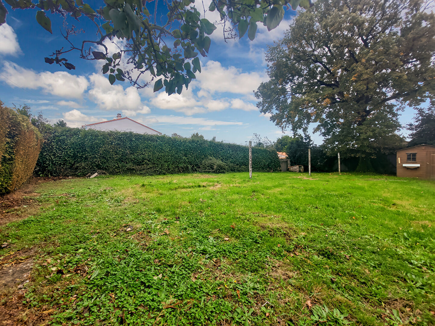 Terrain SAINT CHRISTOPHE DU LIGNERON (85670) 4 pièces 295.00 m²